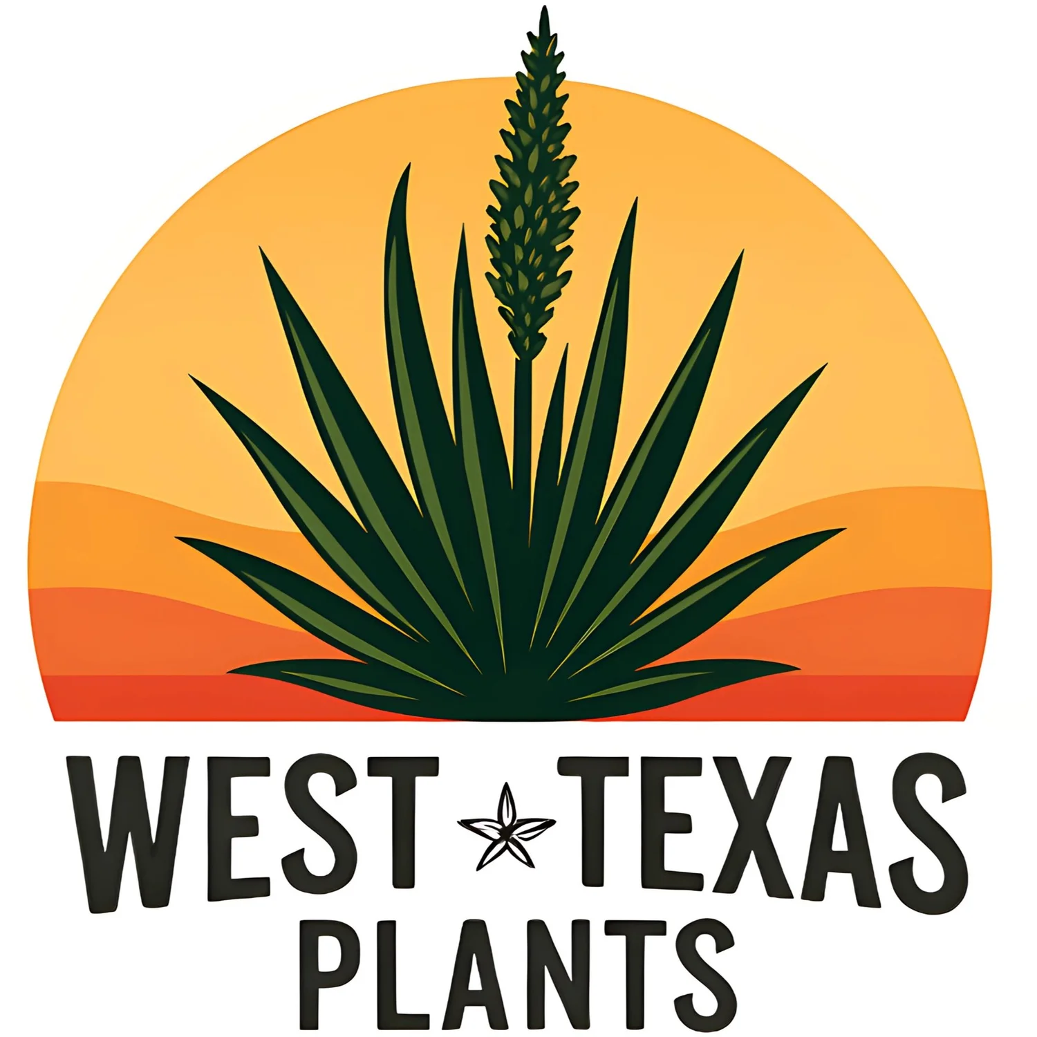West Texas Plants