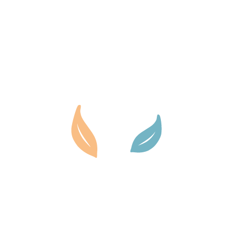 Real vibes coaching