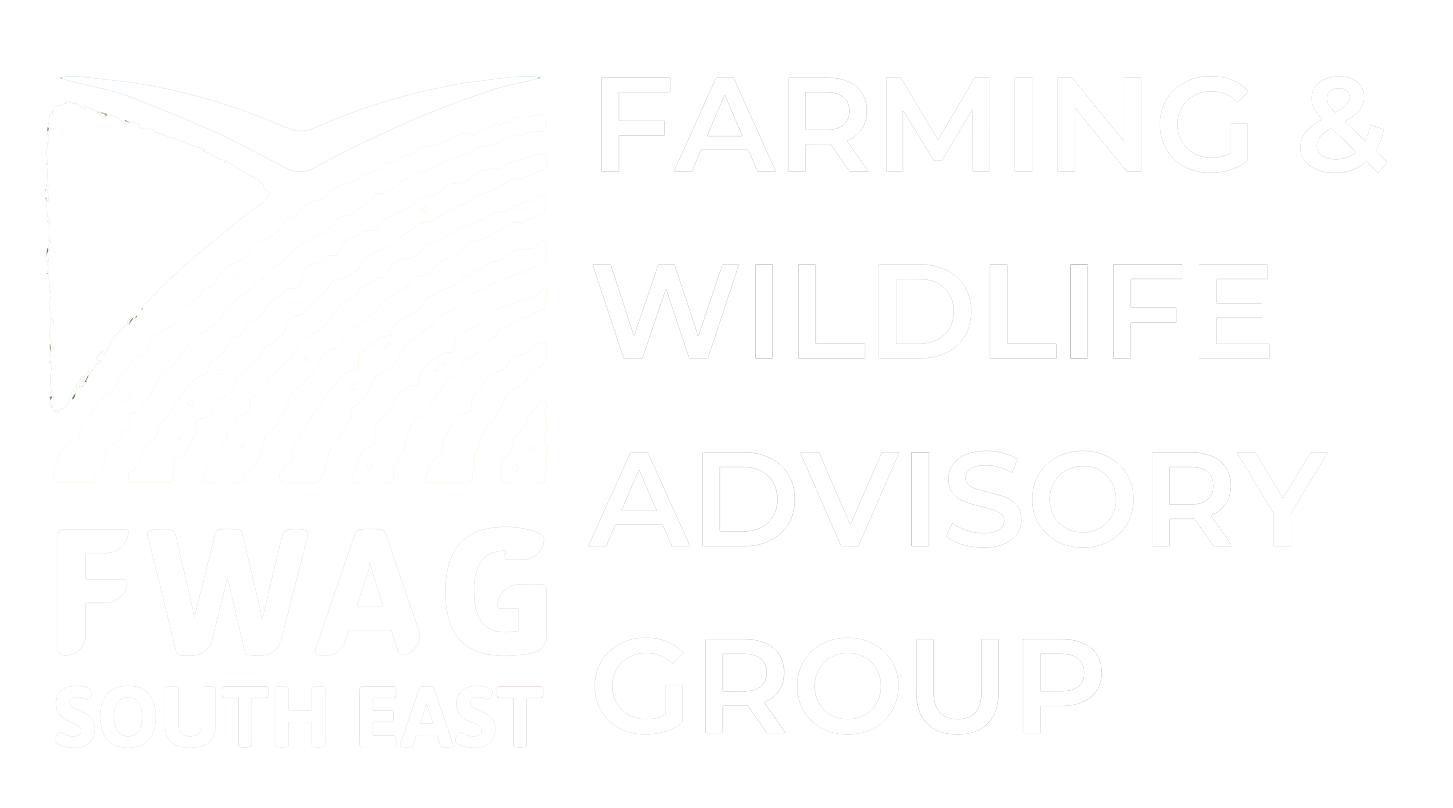 FWAG SE