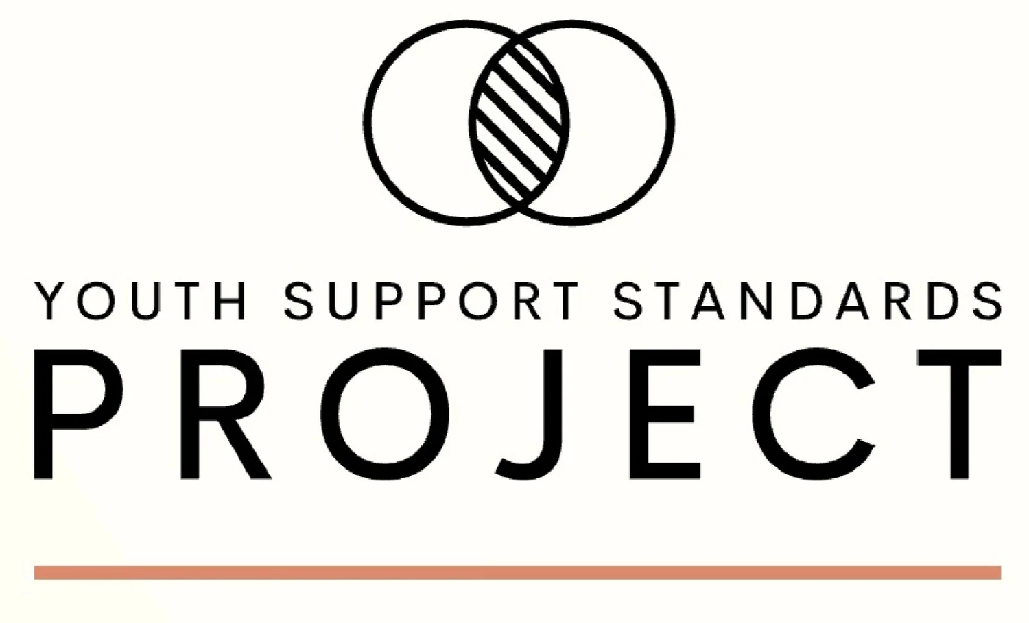 Youth Support Standards Project