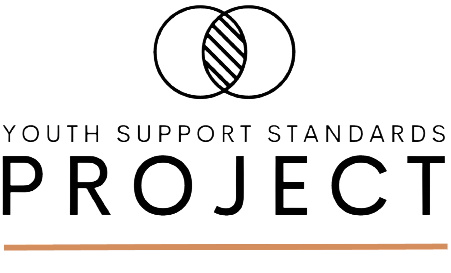 Youth Support Standards Project