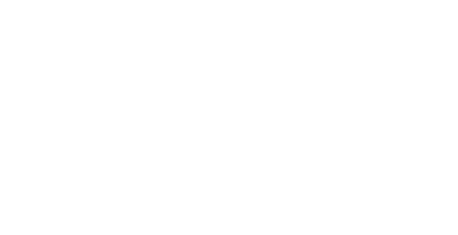 Palm Village