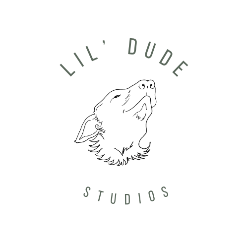 Lil' Dude Studios