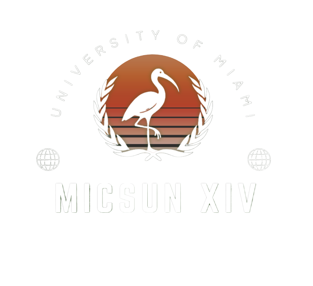 MICSUN XIV