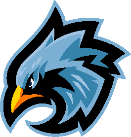 Upstate Falcons