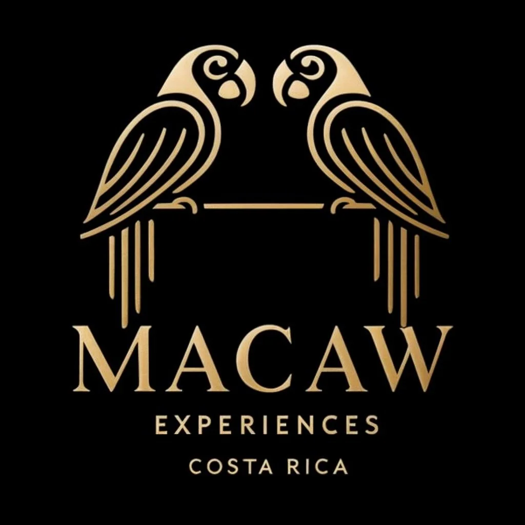 Macaw Experiences