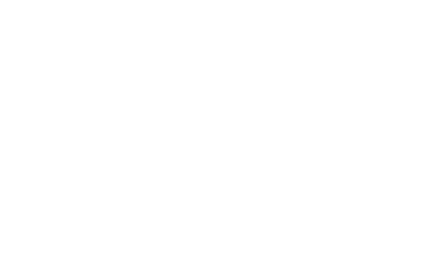 Wildes Wir