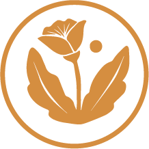 Vicky Canham Acupuncture