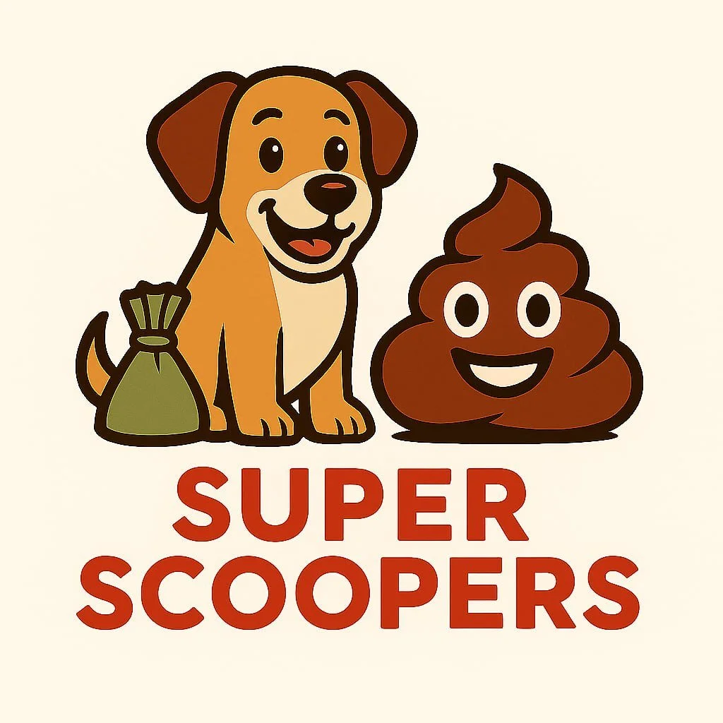 Super Scoopers