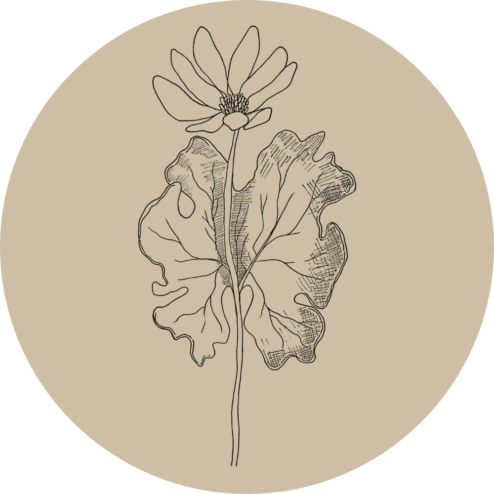 Meadow&#39;s Mercantile