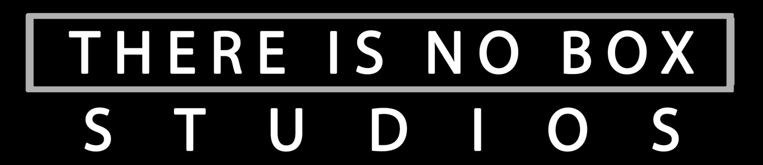 THERE IS NO BOX STUDIOS
