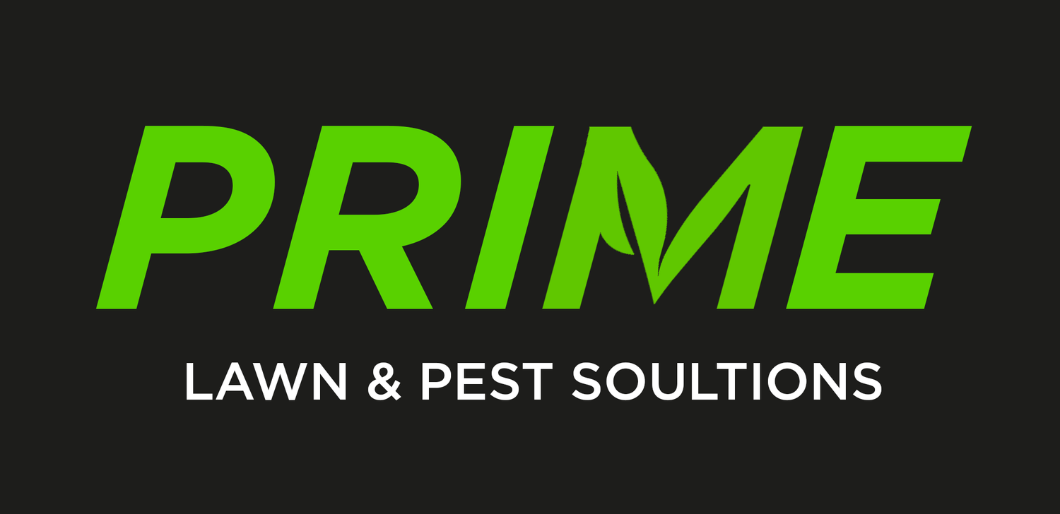 Prime Lawn &amp; Pest Solutions LLC