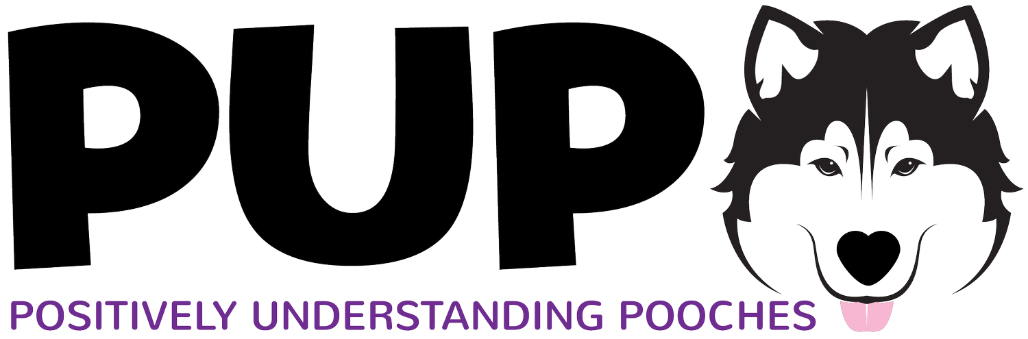Positively Understanding Pooches