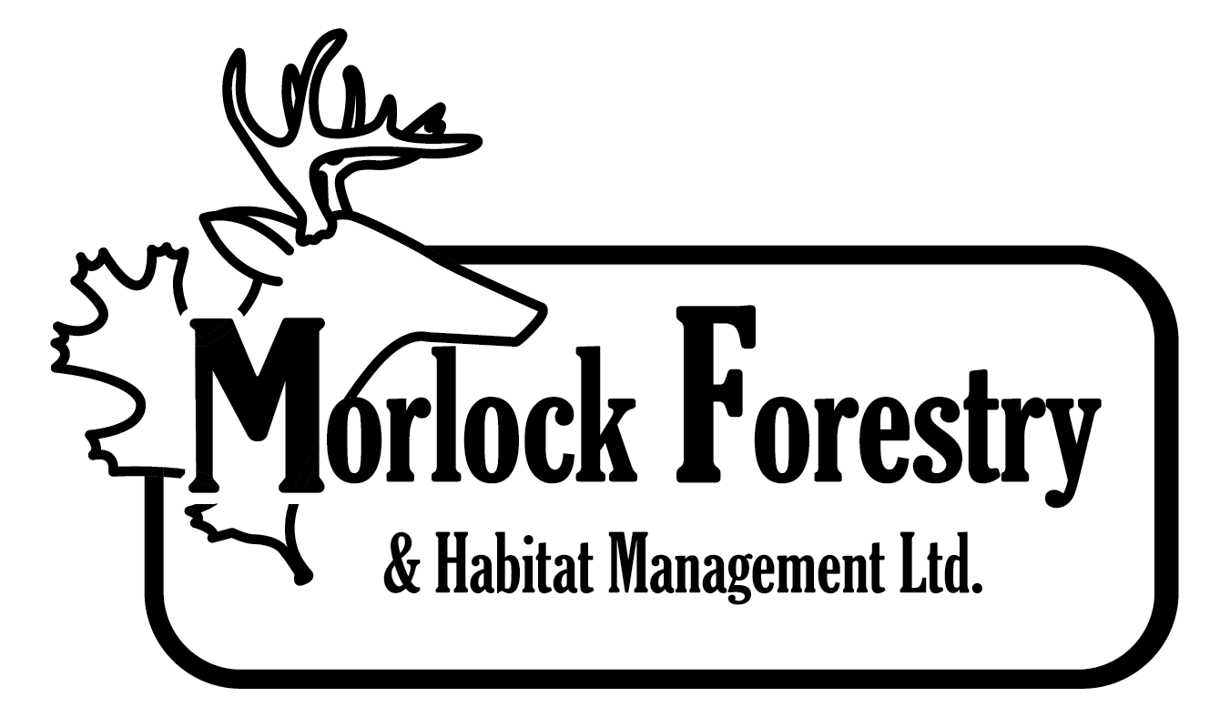 Morlock Forestry and Habitat Management ltd