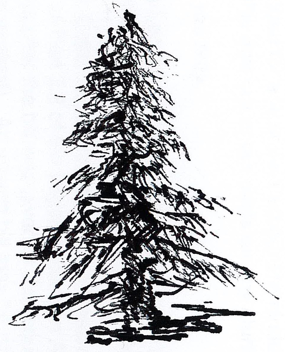 The Deodar Foundation