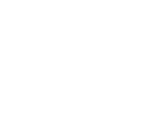 Flybionic