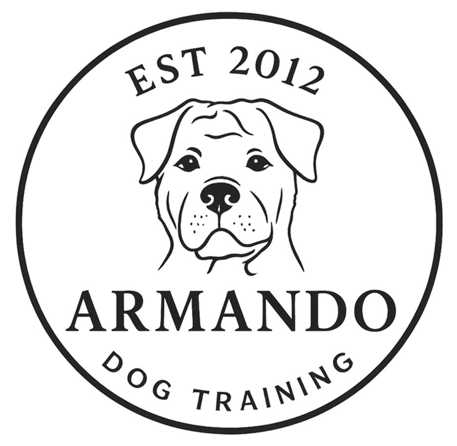 ARMANDO DOG TRAINING