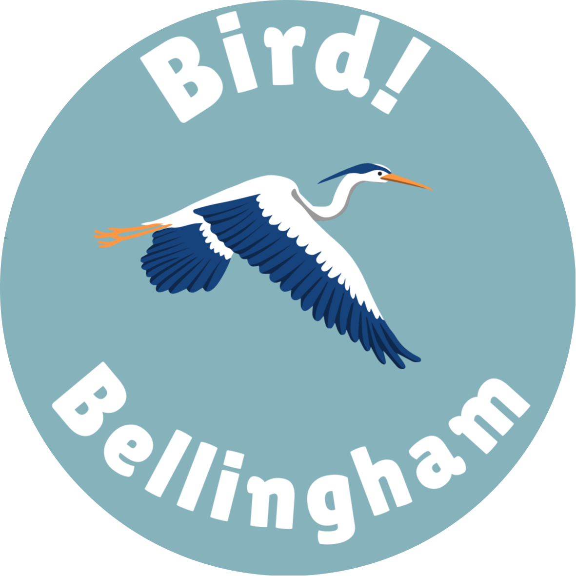 Bird! Bellingham