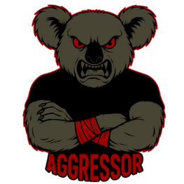 AGGRESSOR PRO AUTO DETAILING