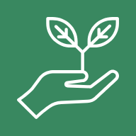 Blossoming Skills Reading Therapy, LLC
