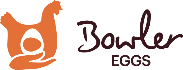 Bowler Eggs - A Journey in Egg Production (Copy) (Copy) (Copy)