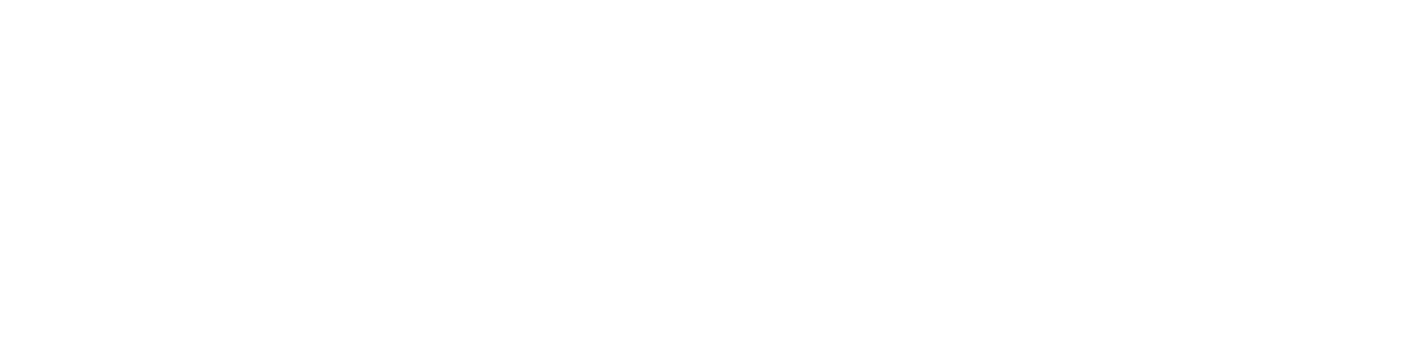 Solidago Institute
