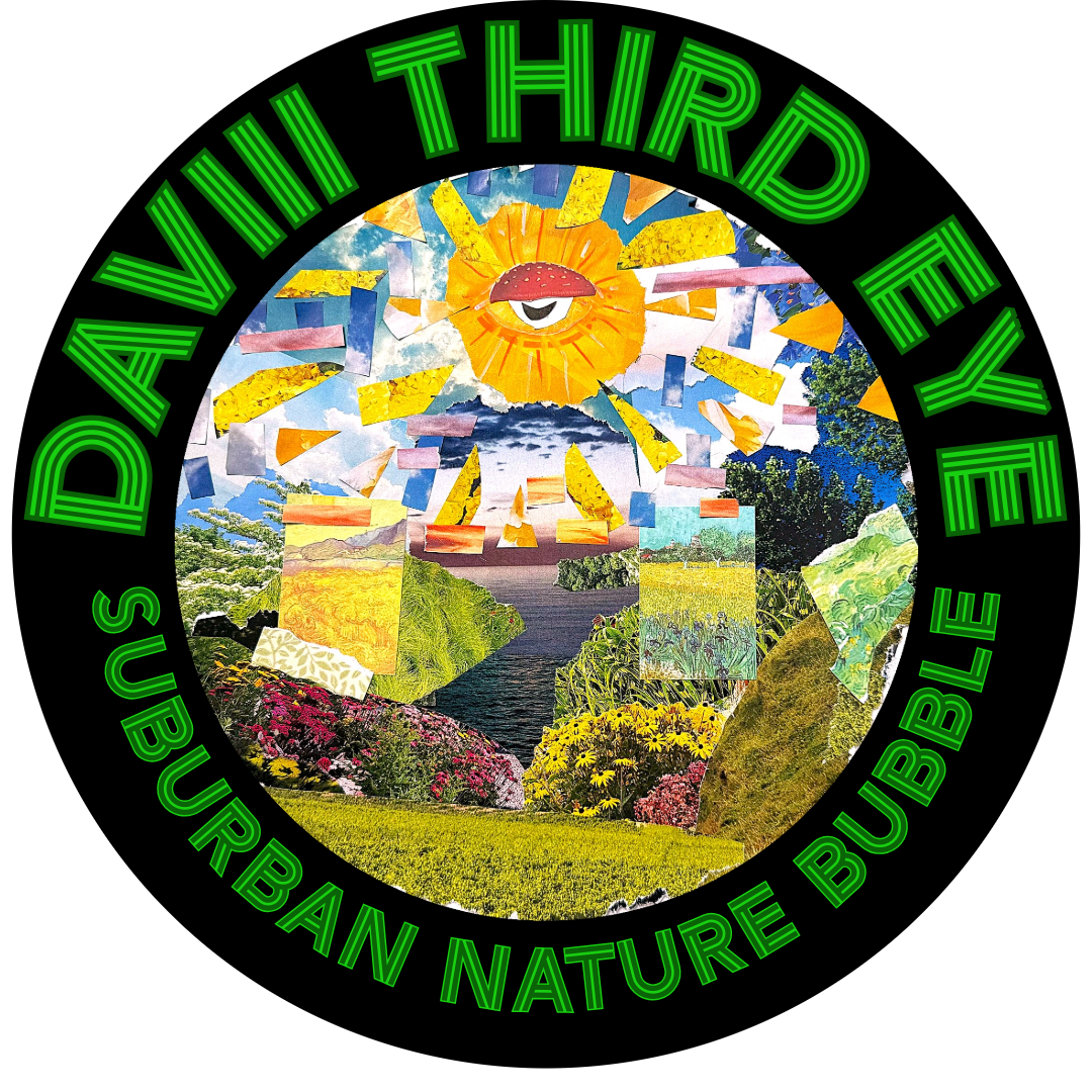 Daviii Third Eye - Education | Community | Nature