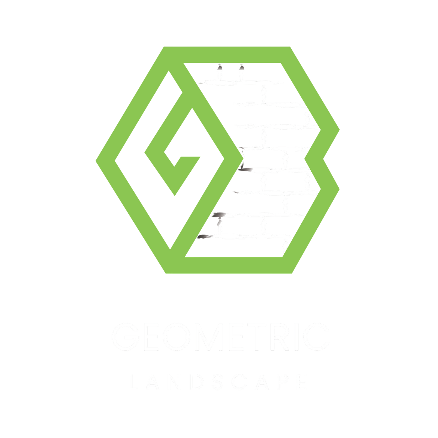 Geometric Landscape