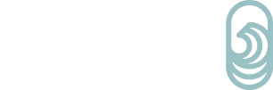 Apostolic Life