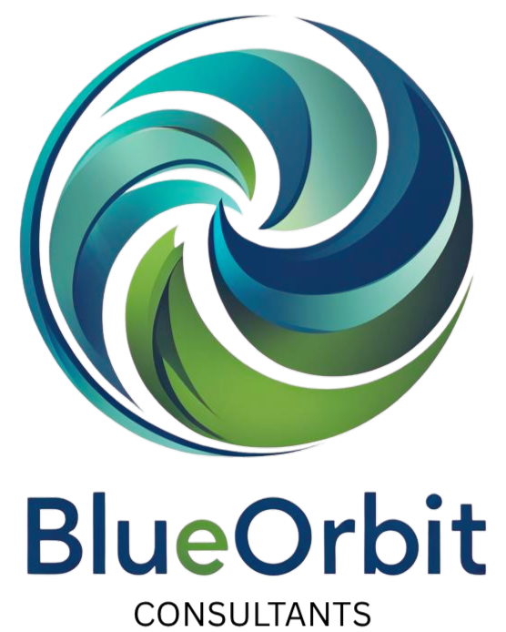 BlueOrbit Consultants | Financial Consulting Firm for SMEs