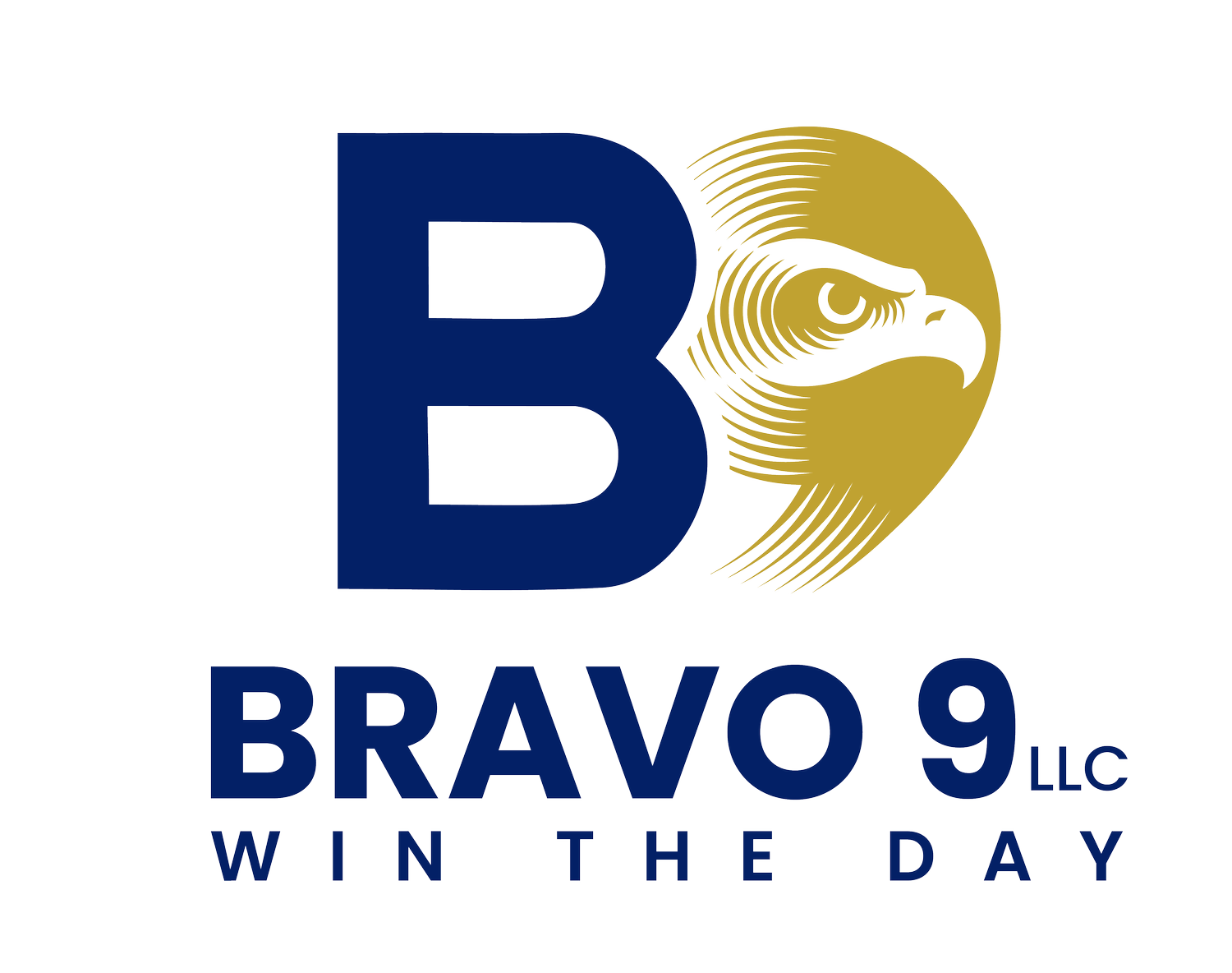 Bravo 9 LLC