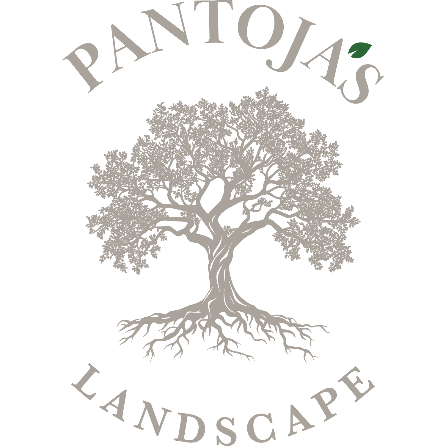 Landscape trees grass concrete pavers stucco outside kitchen grill dumpster containers