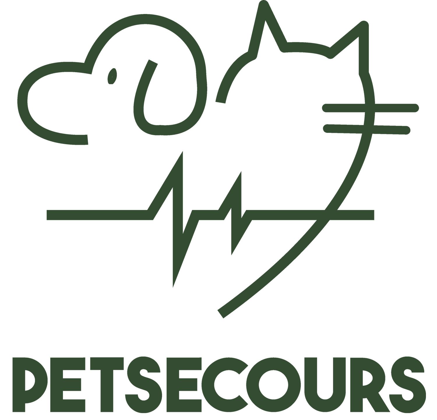 PETSAFE - FORMATION 1ER SECOURS CHIEN & CHAT