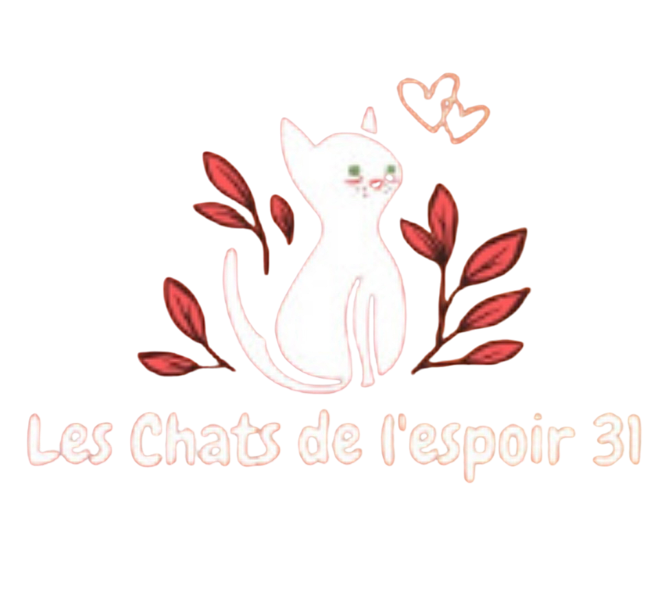 Les chats de l'espoir du 31