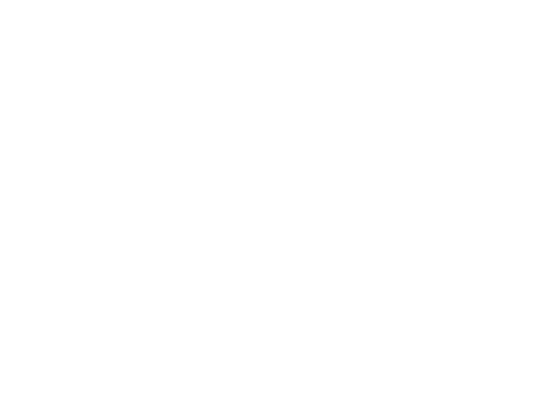 Wrecking Bar Brewpub