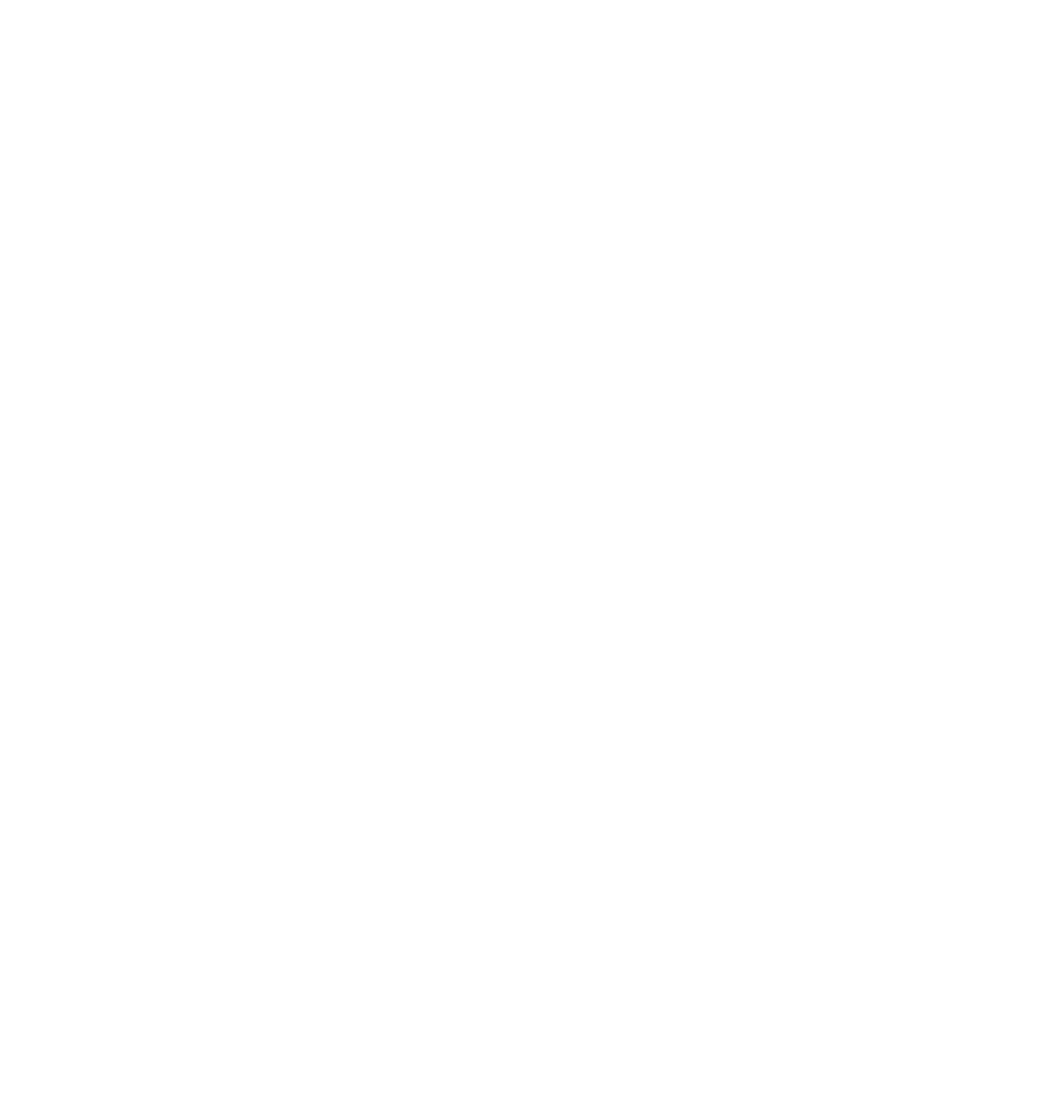 Integrative Acupuncture