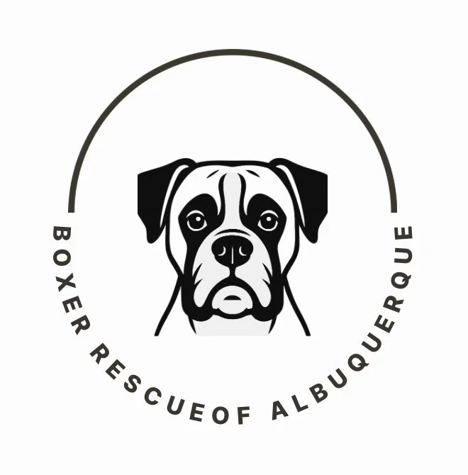 Boxer Rescue of Albuquerque