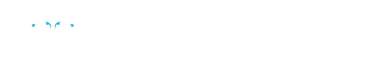 SENTINEL ANALYTICS - EMERGENCY AND DISASTER MANAGEMENT