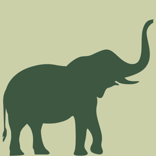 Tiny Elephants