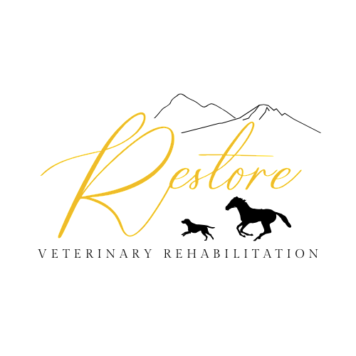 Equine & Canine Veterinary Rehabilitation | Pennsylvania, Maryland, WV | Restore Vet Rehab