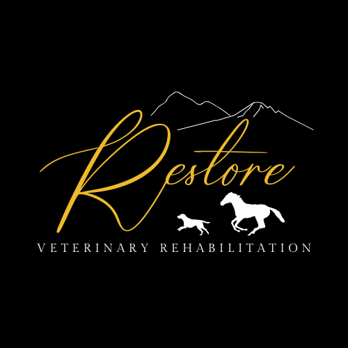 Equine & Canine Veterinary Rehabilitation | Pennsylvania, Maryland, WV | Restore Vet Rehab
