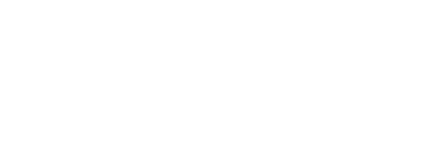 Lisa Kalus &amp; Associates, Inc.