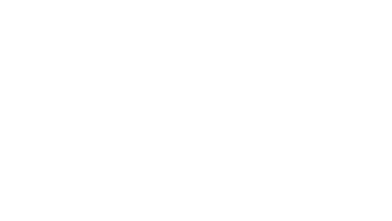 Great Forest Park Balloon Race