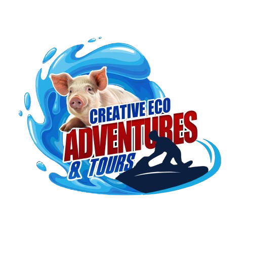 Creative Eco Adventures
