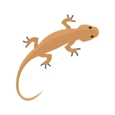 Screenlizyrds - IT Help