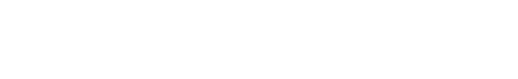 The Finish Line Store