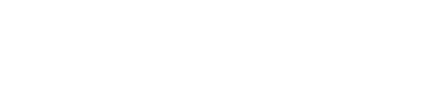 Skyhigh Odditorium - Home of the Dragons