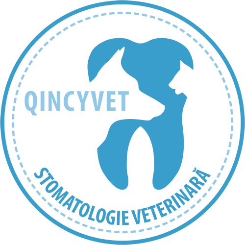 Quincyvet