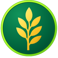 Olive Branch Network