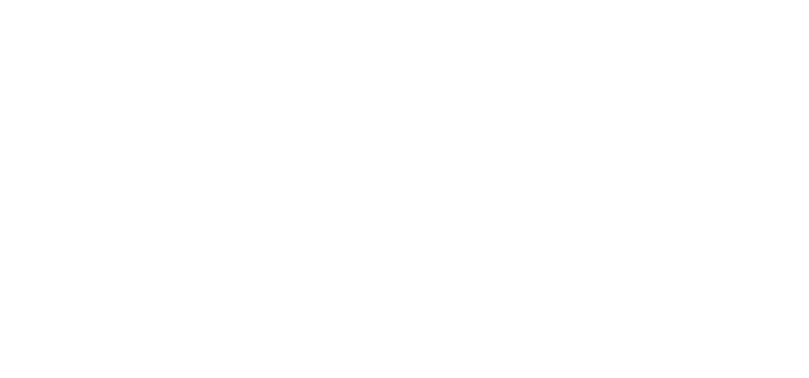 Pontes MedView